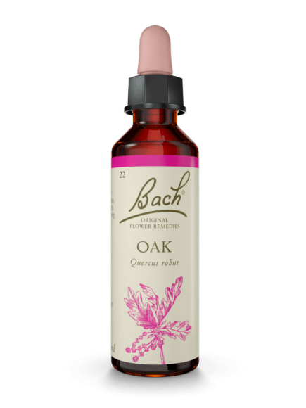Oak Bach Flower